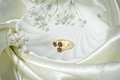 vosgi ring